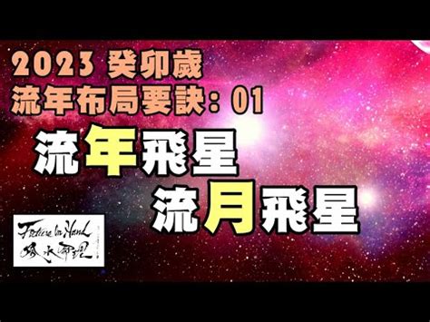 2023 流月飛星